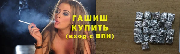 шишки Сатка