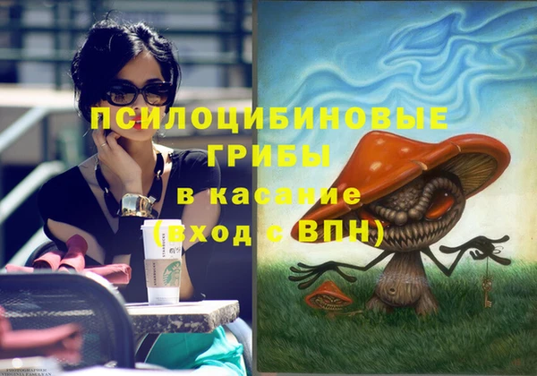ПСИЛОЦИБИНОВЫЕ ГРИБЫ Россошь