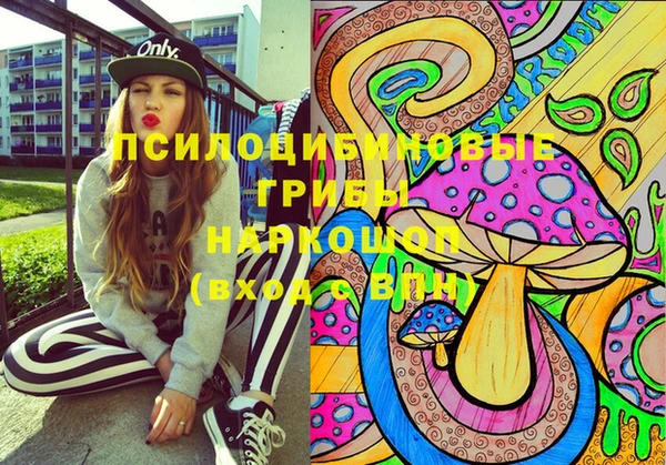 тгк Верея