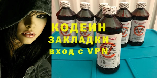 шишки Сатка